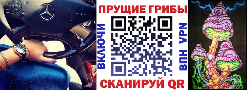 Галлюциногенные грибы GOLDEN TEACHER  Купить закладки  Чкаловск 