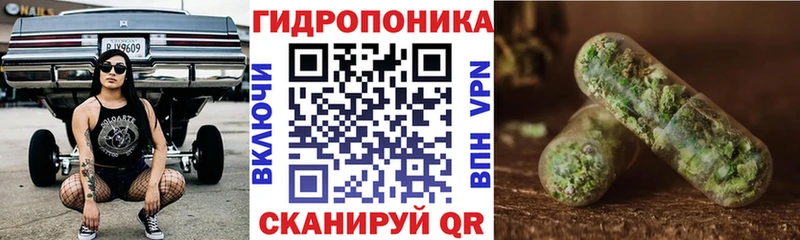 Купить  Чкаловск  Шишки марихуана индика 
